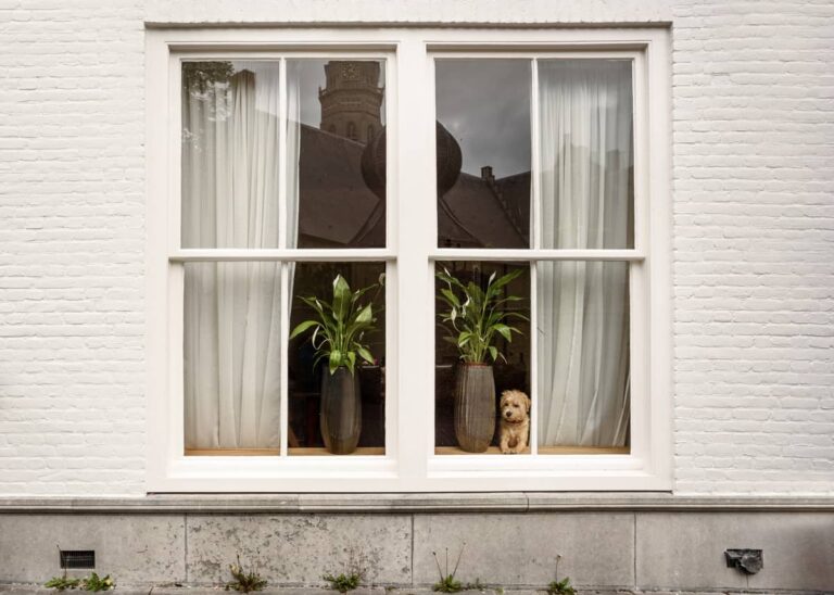 The Pathology of Fenestration Decay: A Deep Study in Structural Preservation